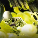 브룩 카카오 검색결과