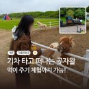 로드랜드빌리지 | 제주 동쪽 가볼만한곳 에코랜드｜제주도 가족여행 관광지 추천