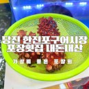 한진수산 티스토리