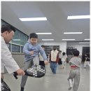 봉담태권도장 | 봉담태권도 함께 성장하는 태권도장 체험 후기