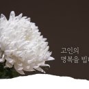 법무사최학영사무소 이미지