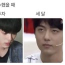 미야옹 이미지