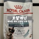 [로얄캐닌] 헤어볼 케어 고양이 사료 후기