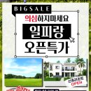 피랑 이미지
