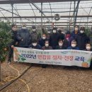 제주고산농업협동조합 이미지