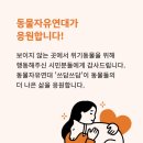 상일 쓰담쓰담 동물병원 | 동물자유연대 위기동물 지원사업 “쓰담쓰담” 후기