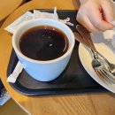 망고&체리 애견샵 이미지