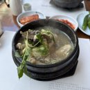 에이바우트인동점 | [구미/인동] 구미 삼계탕 맛집, 능이버섯 향 가득한 주왕산삼계탕 본점