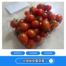 간식시간 | 아이간식 스테비아토마토 건강과일로 달달한 간식시간 후기