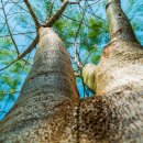 마린시티2로 10 이미지