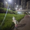 수포차 | 18개월 아기 약한 수족구 수포 증상 및 병원 진료 후기