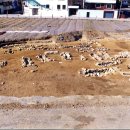 상동 지석묘군 이미지