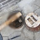 예지1길 이미지