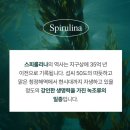 볼라욘 | 블랑>공구, 스피룰리나 고함량, 피부진정에 좋은 <볼라욘- 스피넴 파우더 모델링팩> 내돈내산 솔직후기