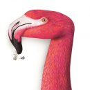 스타키보청기 서대문센터 이미지