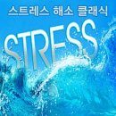 현대카드㈜ | 울산 직장인을 위한 멘탈코칭 전략- 울산리스타트연구소