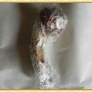 풍년들었네 - 시흥시 | 풍년들었네