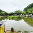 도장골낚시터 이미지