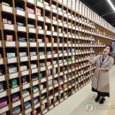 옵티마연합약국 이미지