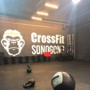 CrossFit 손오공 | 크로스핏 시작한지 약 한달째 후기 (일산크로스핏,화정크로스핏,화정헬스,크로스핏손오공)
