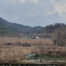 조촌보건진료소 이미지