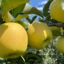 골드농장 이미지