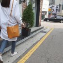 보아스가방