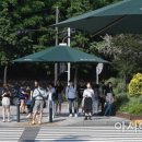 그늘막81 이미지