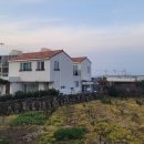 유유한가 이미지