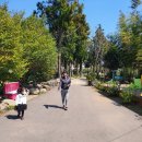 코끼리 게임장 이미지