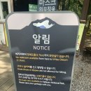한라산 영실코스 윗세오름 후기 주차 만차시에는..?