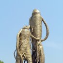 금산다락원광장 이미지