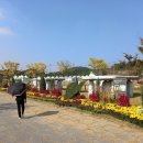 세계거석 테마파크 | 전남 화순 세계거석테마파크..(6)