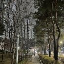 쌍미공원