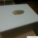 송제농원 이미지