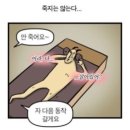 라필라테스 - 미추홀구 용정공원로83번길 59 | 라필라테스