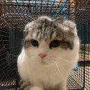 서신동물병원 이미지