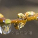 움트 이미지