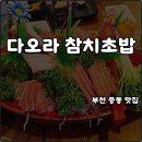 시청광장 | 부천 중동 맛집 다오라참치초밥 메뉴 주차장 가격 스페셜 가성비 내돈내산