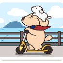 쿠치올로 이미지