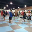 평택복싱스타 이미지