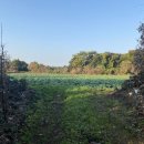 성산읍사무소 이미지