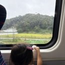 특실 | 코레일 열차 지연 보상후기 &amp; 아이와 KTX 특실 후기