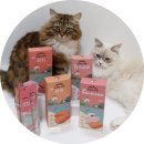 묘들링(Meowdeling)