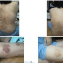 한라웰스텍(주) 이미지