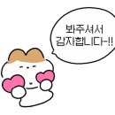 챠오벨라1;2 이미지