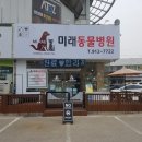건강하게동물병원 이미지