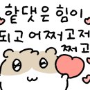 추미정 남원추어탕 네이버블로그