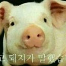 인생만두완당집