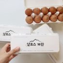 배달의계란 이미지